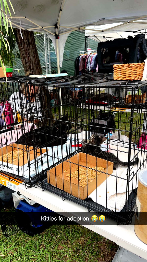 kaylamanouss17 image ~ Altpins