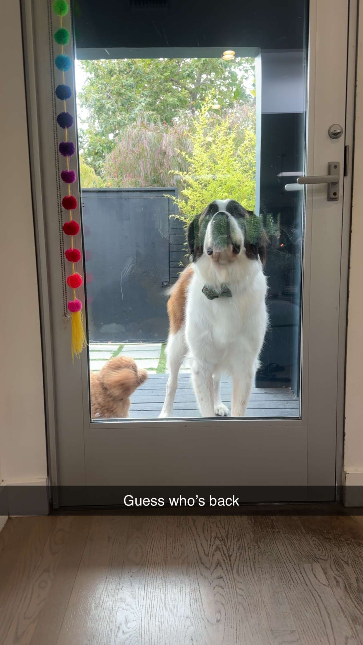 kaylamanouss17 snapchat image archive image