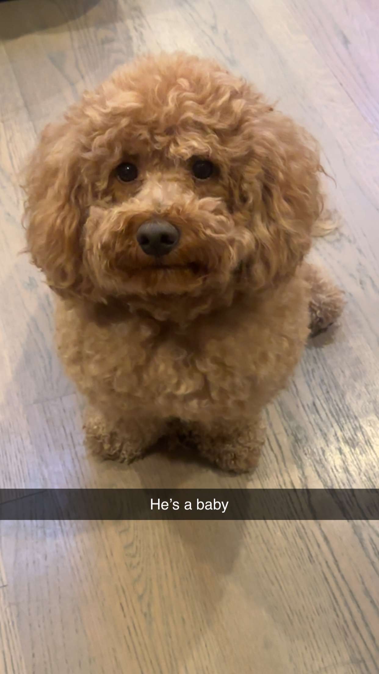 kaylamanouss17 snapchat image archive image