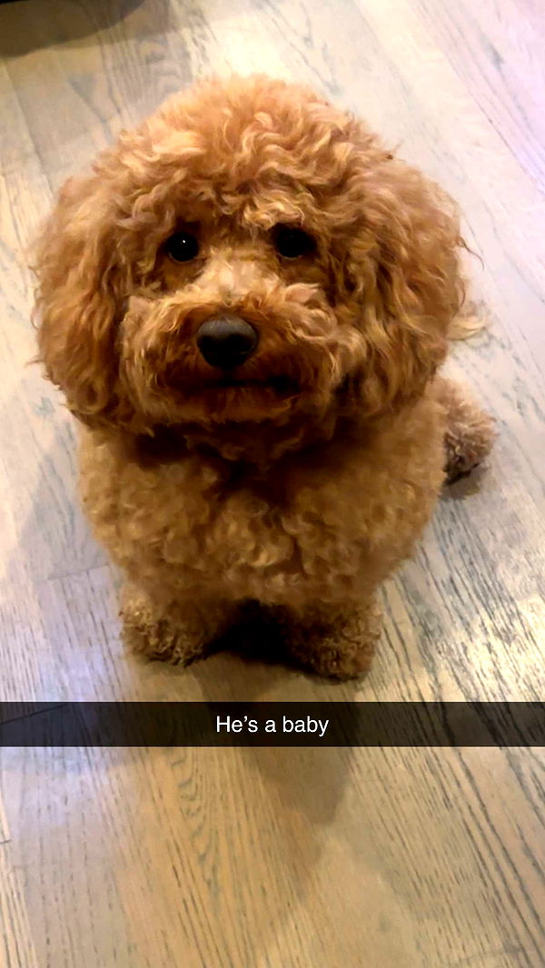 kaylamanouss17 image ~ Altpins