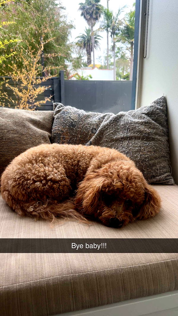 kaylamanouss17 image ~ Altpins