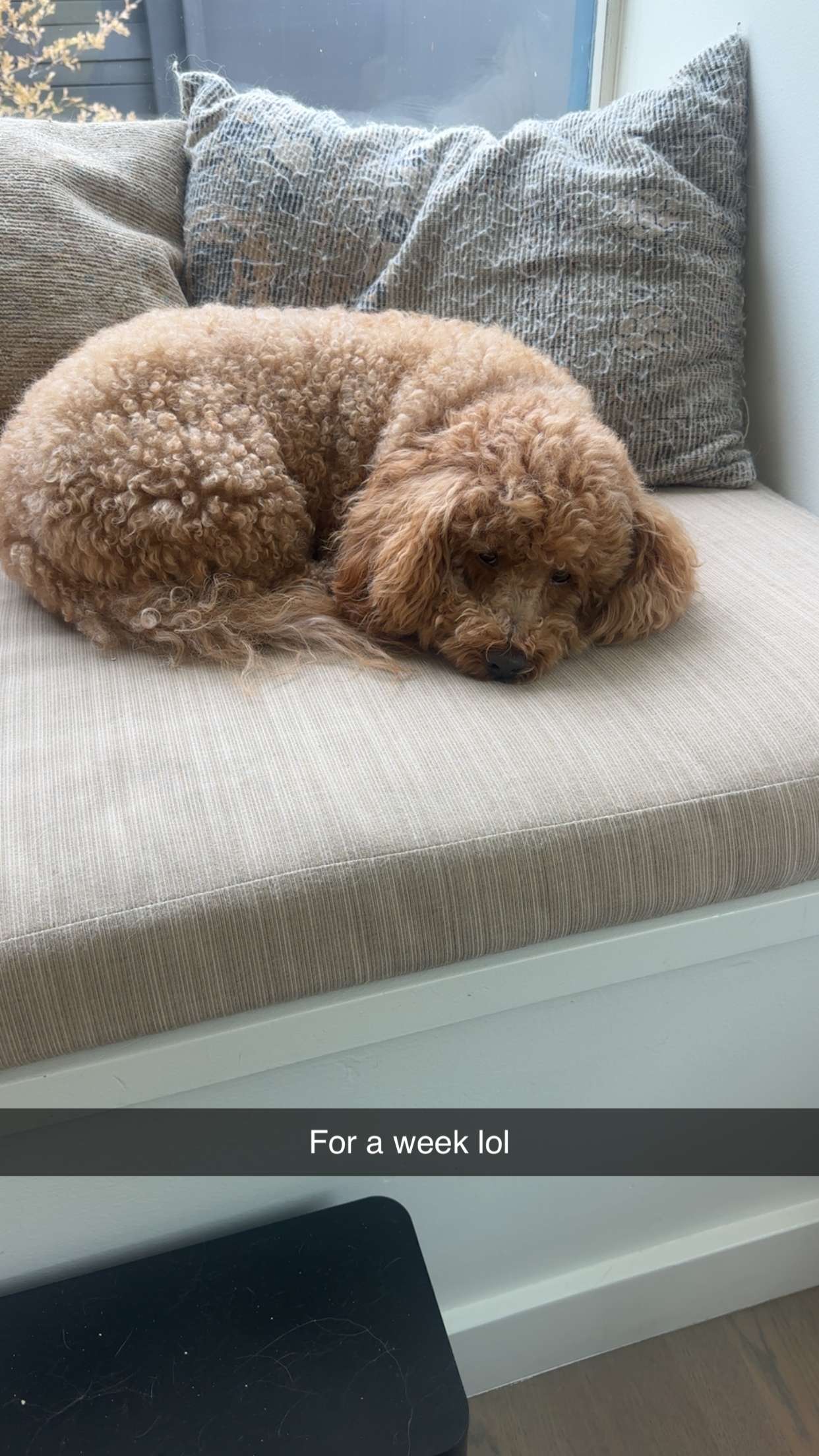 kaylamanouss17 snapchat image archive image