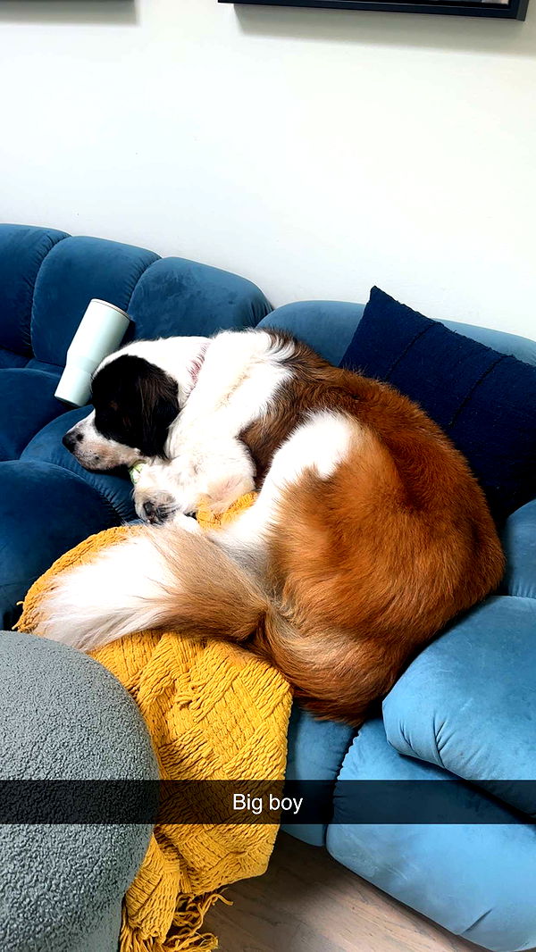 kaylamanouss17 image ~ Altpins