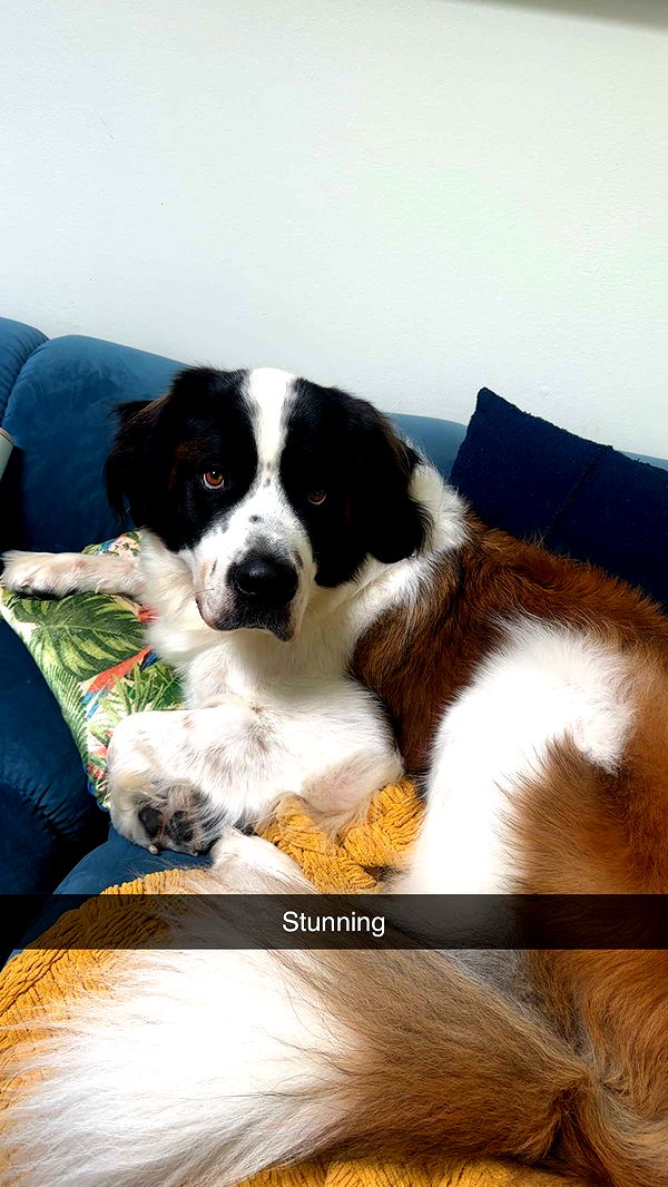 kaylamanouss17 image ~ Altpins