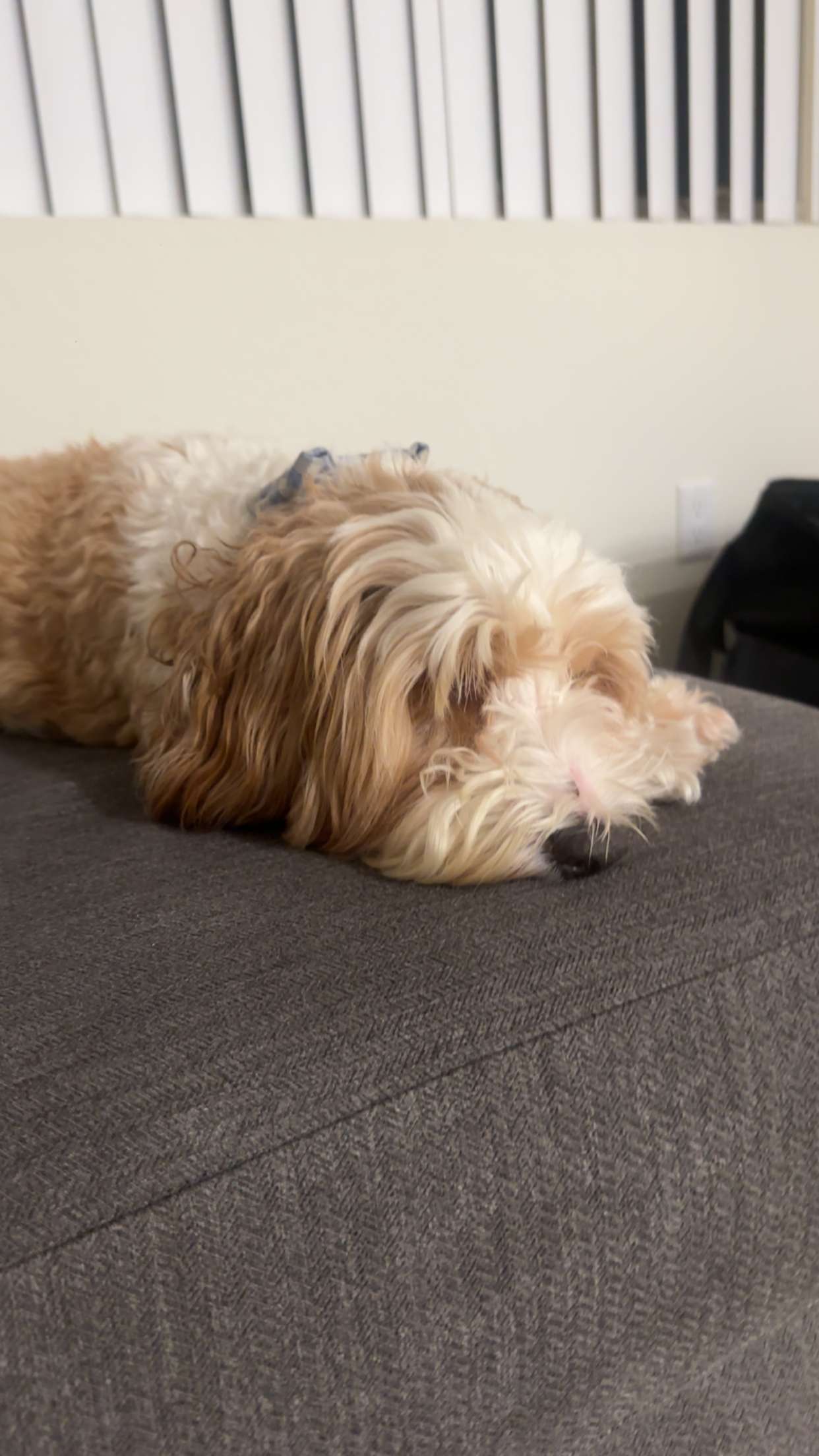 kaylamanouss17 snapchat image archive image