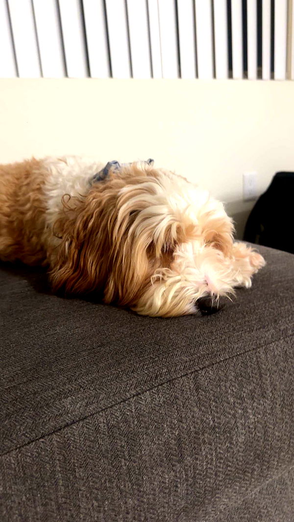 kaylamanouss17 image ~ Altpins