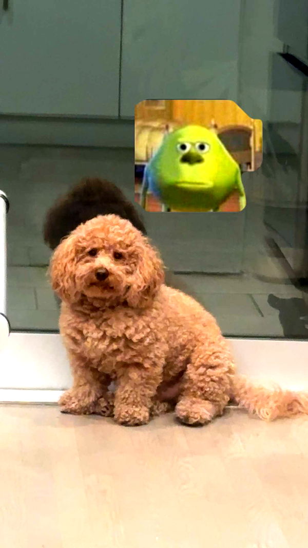 kaylamanouss17 image ~ Altpins