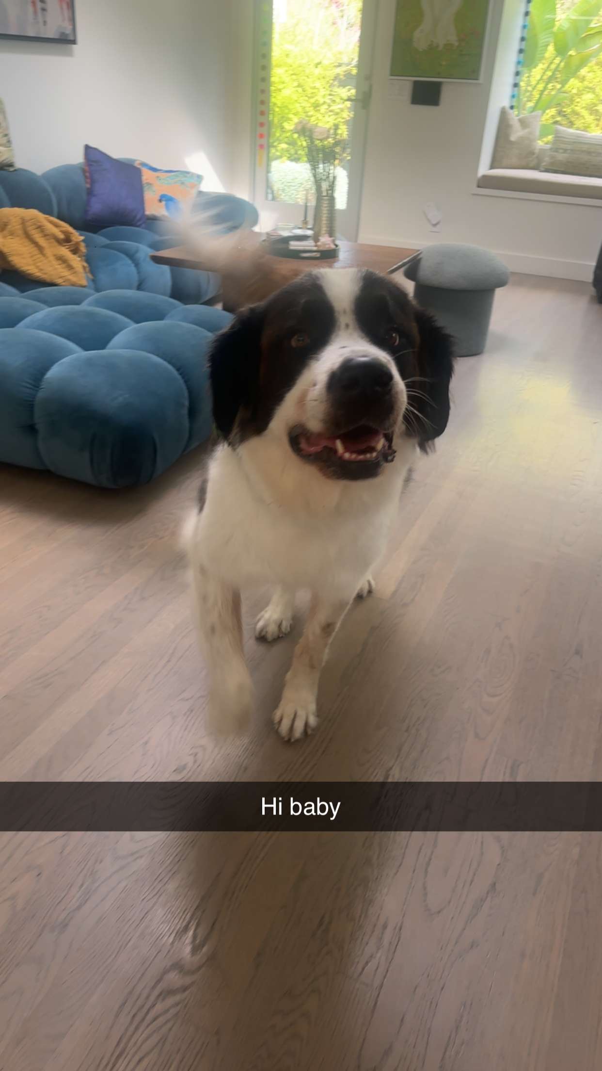 kaylamanouss17 snapchat image archive image