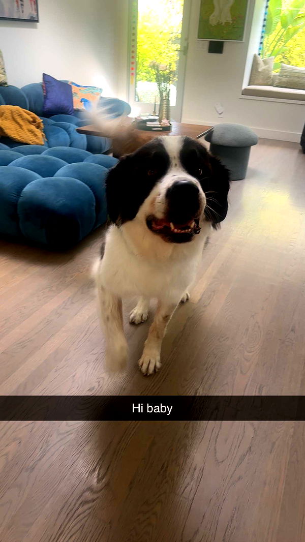 kaylamanouss17 image ~ Altpins