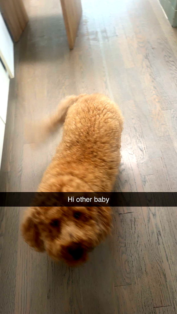 kaylamanouss17 image ~ Altpins