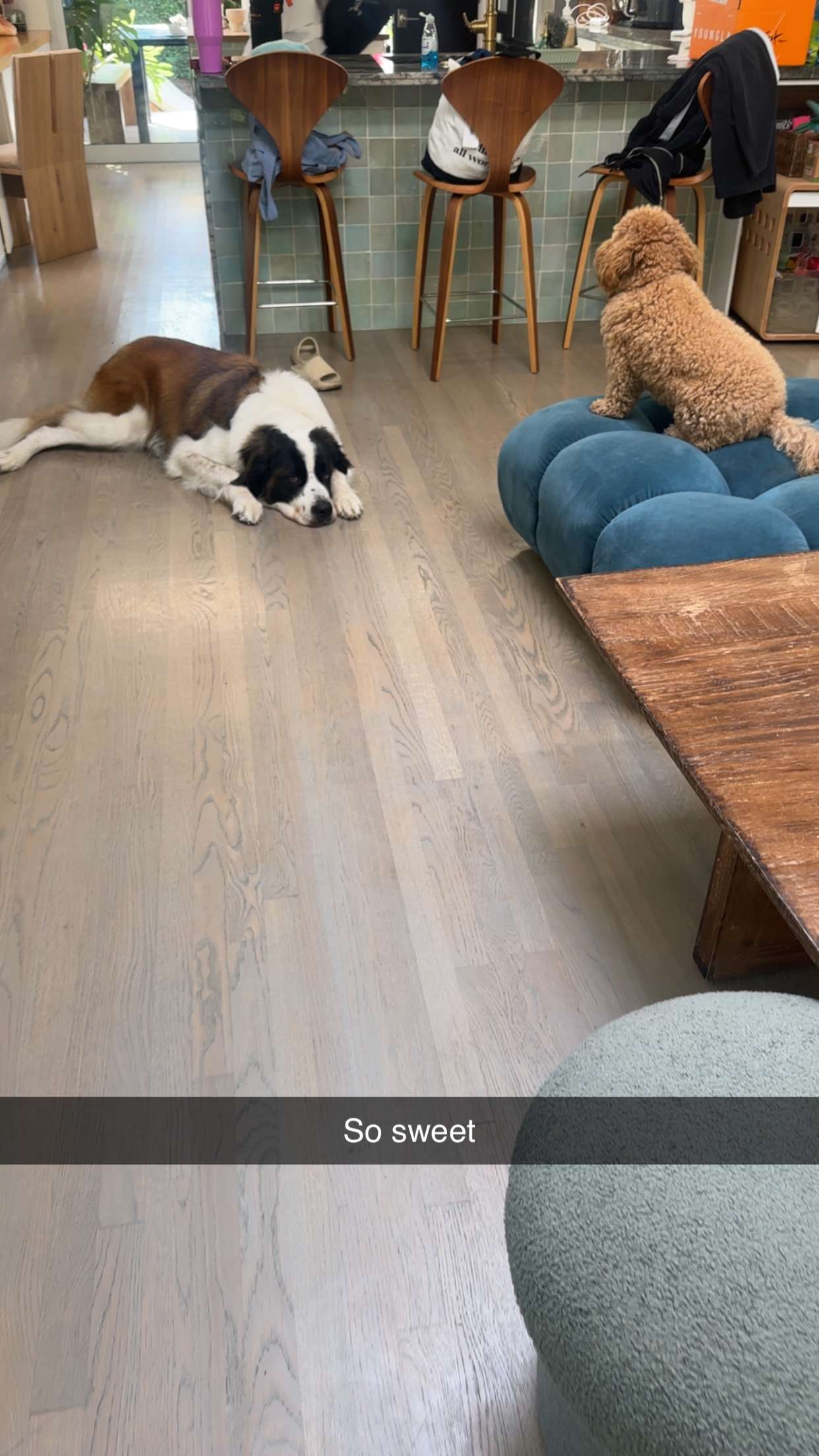 kaylamanouss17 snapchat image archive image