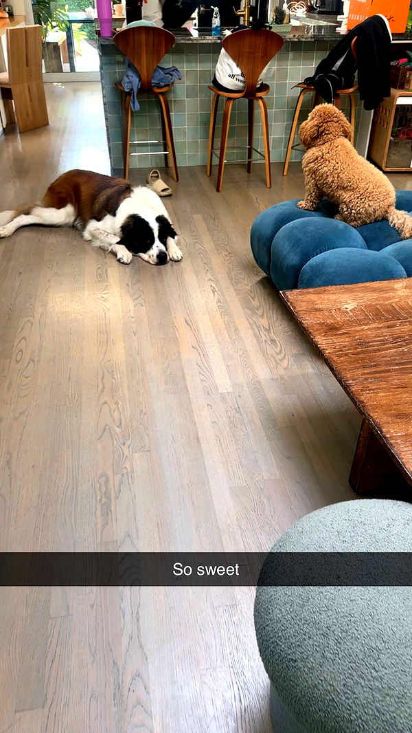 kaylamanouss17 image ~ Altpins