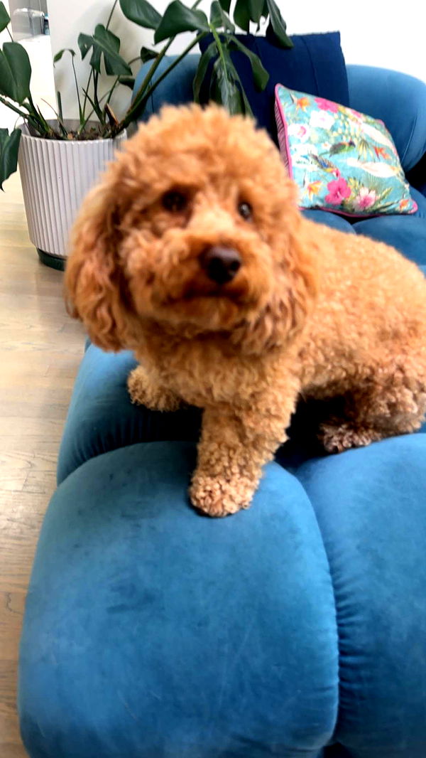 kaylamanouss17 image ~ Altpins