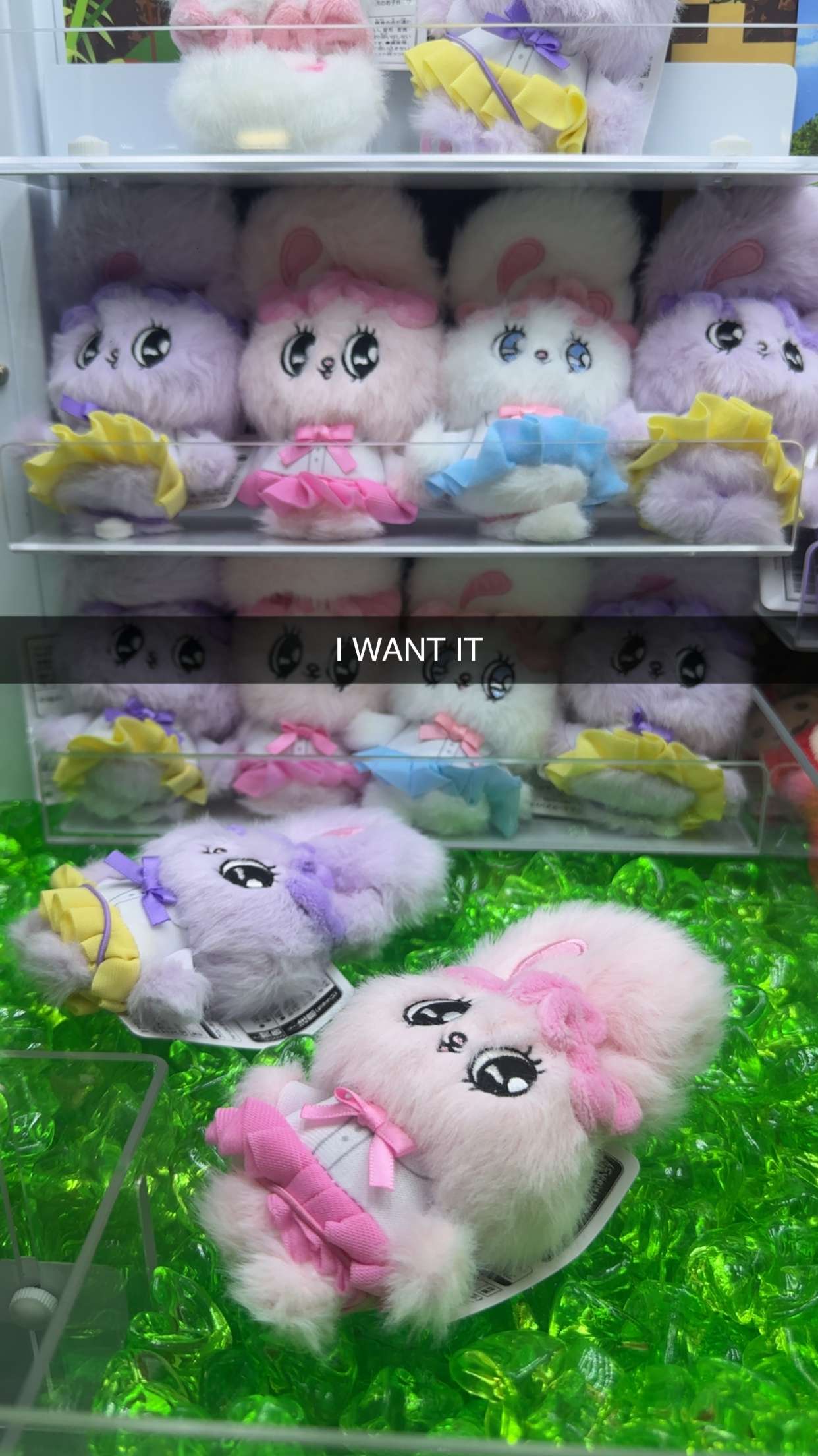 kaylamanouss17 snapchat image archive image