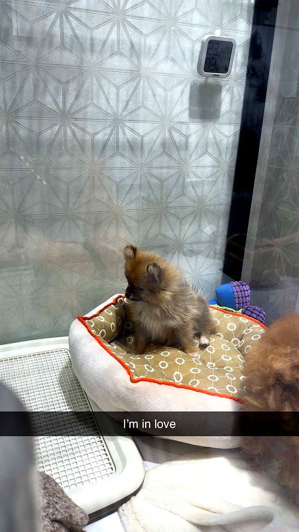 kaylamanouss17 image ~ Altpins