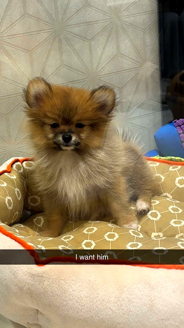 kaylamanouss17 image ~ Altpins