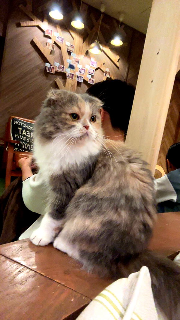 kaylamanouss17 image ~ Altpins