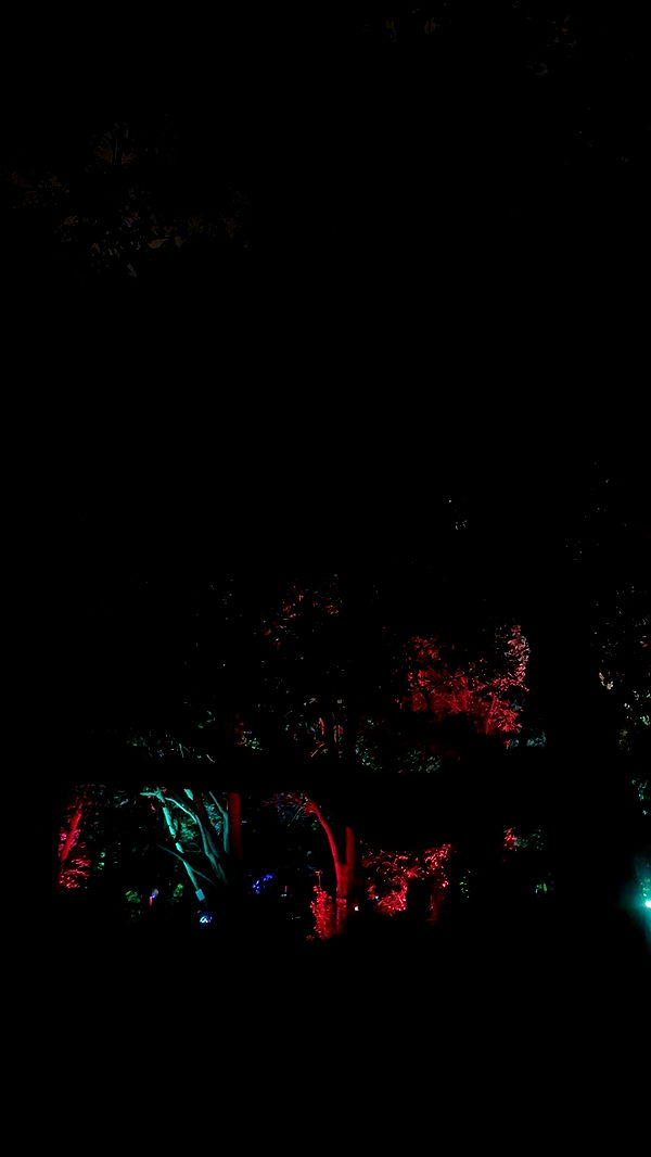 kaylamanouss17 image ~ Altpins