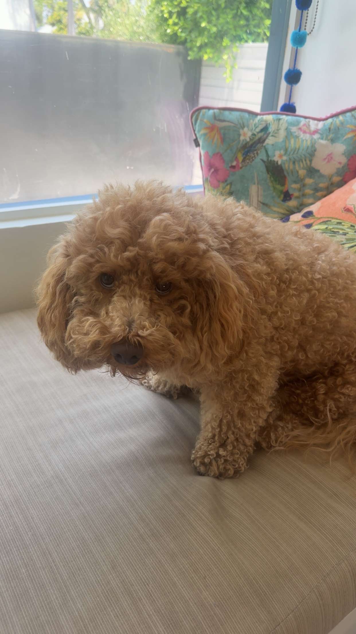 kaylamanouss17 snapchat image archive image