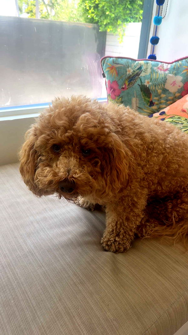 kaylamanouss17 image ~ Altpins