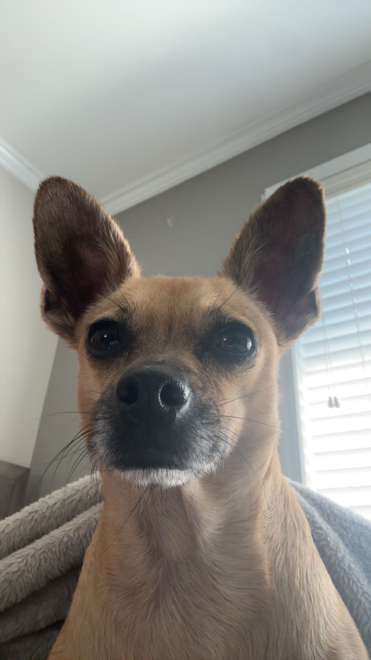 kaylamanouss17 snapchat image archive image