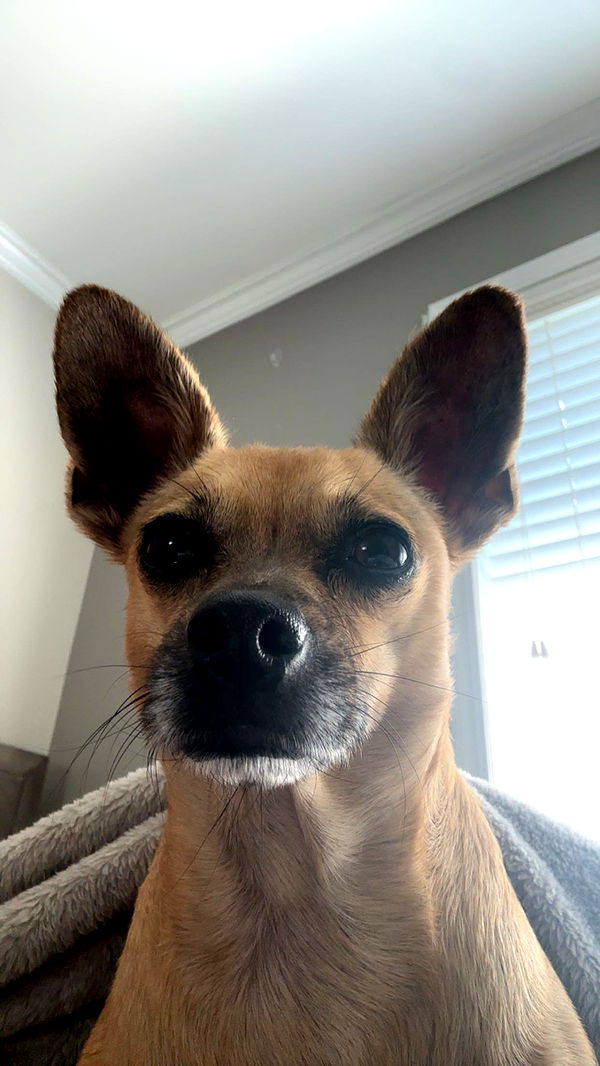 kaylamanouss17 image ~ Altpins