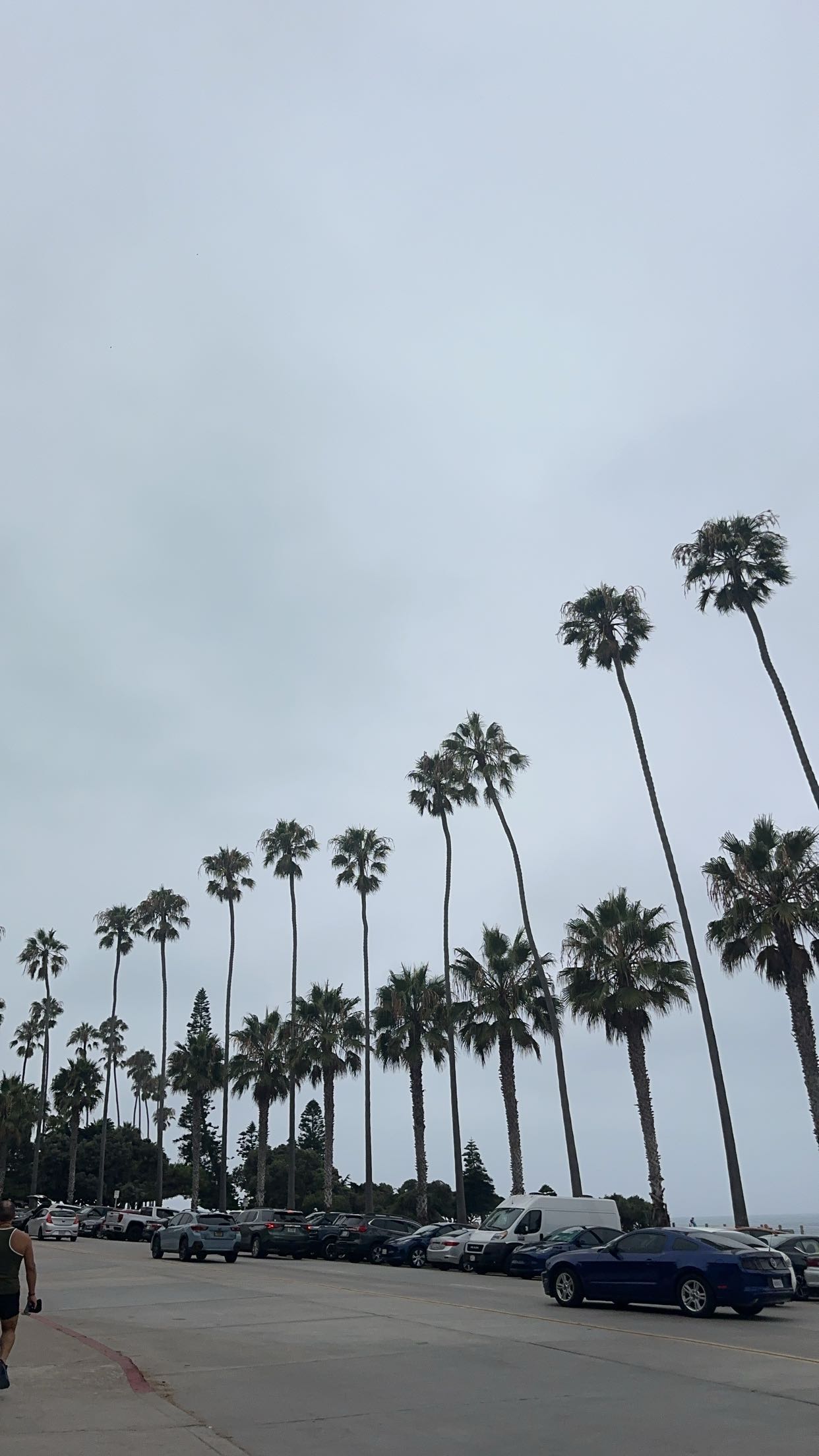 kaylamanouss17 snapchat image archive image