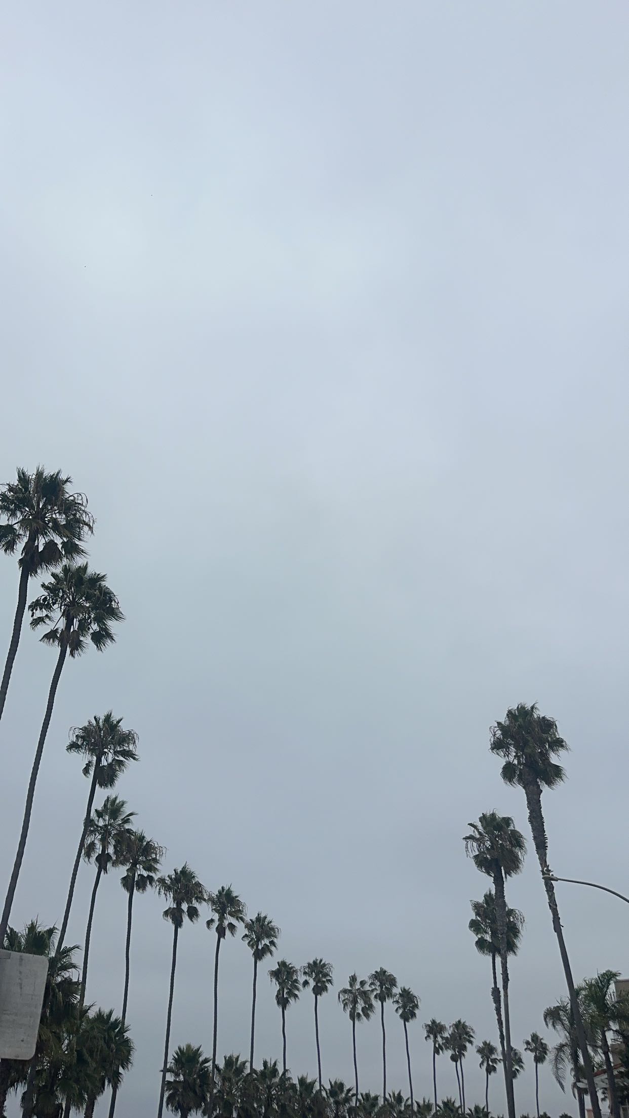 kaylamanouss17 snapchat image archive image