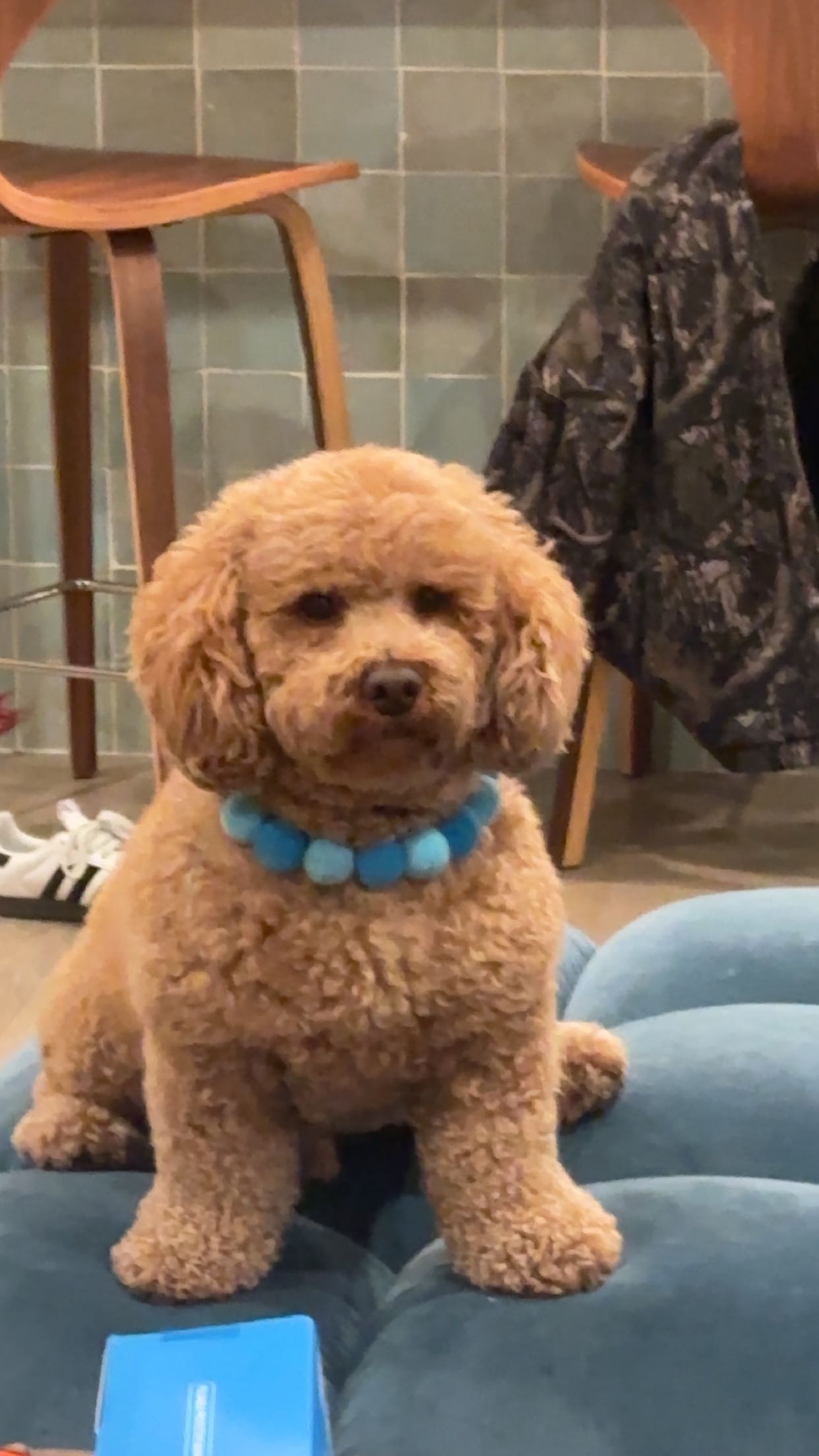 kaylamanouss17 snapchat image archive image