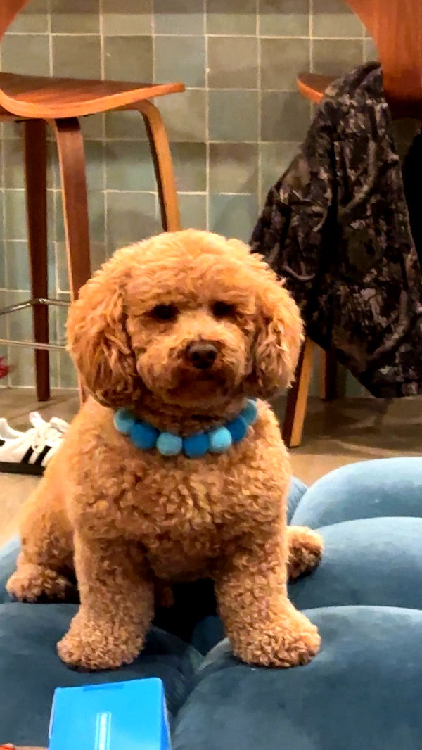 kaylamanouss17 image ~ Altpins