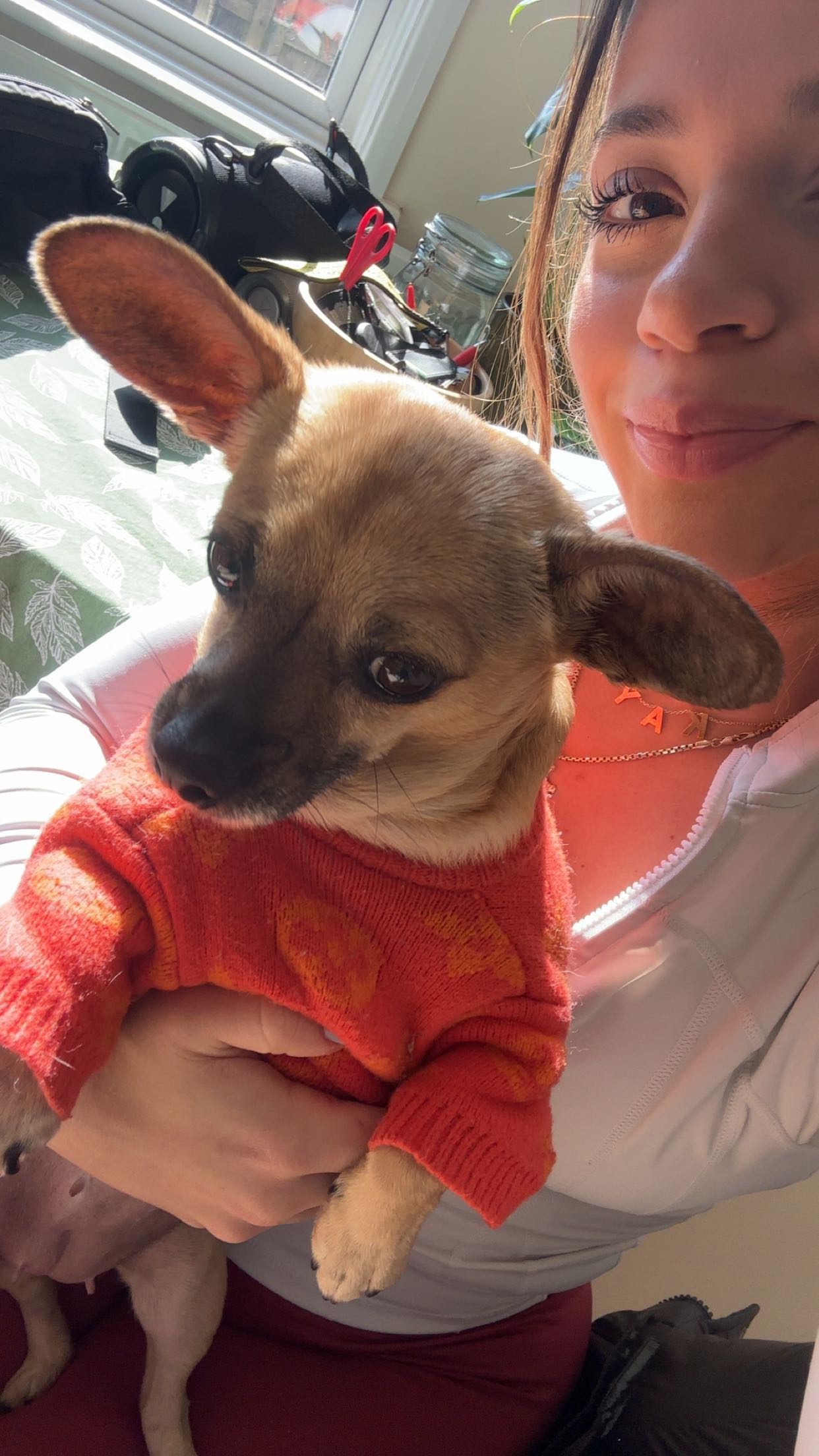 kaylamanouss17 snapchat image archive image