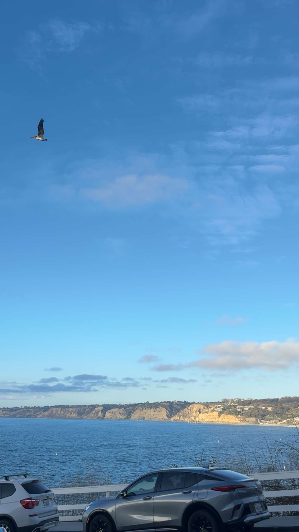 kaylamanouss17 snapchat image archive image