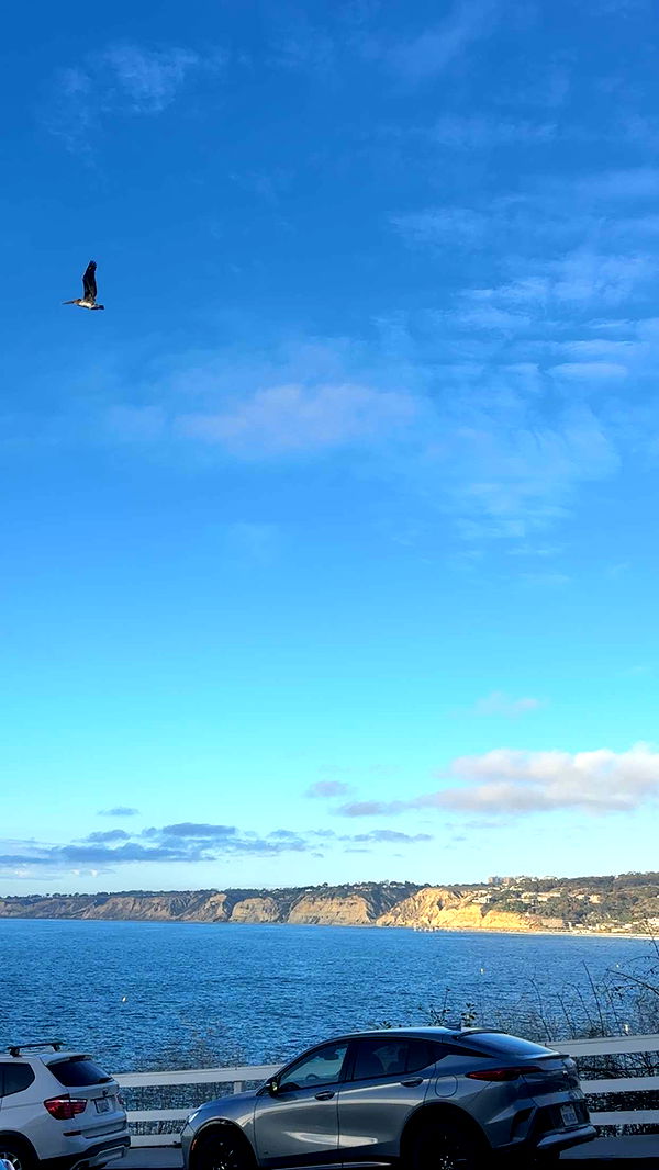 kaylamanouss17 image ~ Altpins