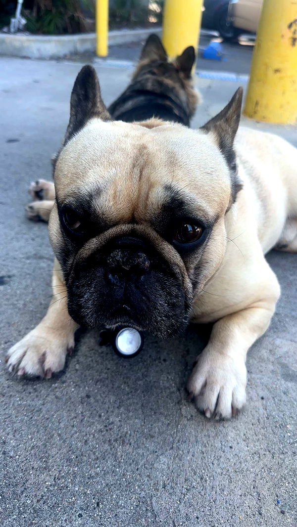 kaylamanouss17 image ~ Altpins