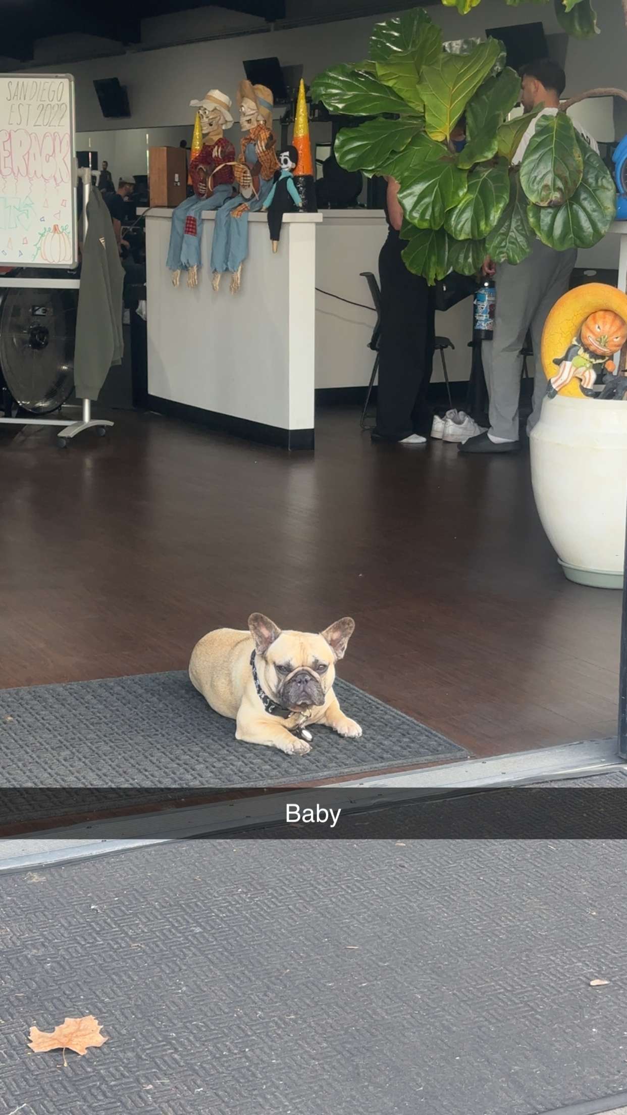 kaylamanouss17 snapchat image archive image