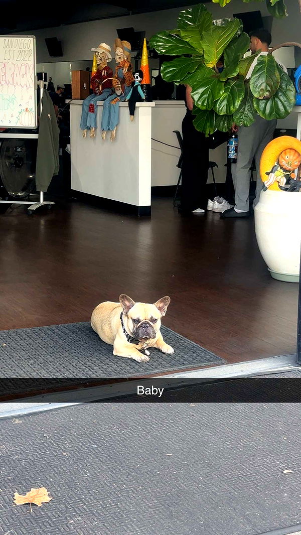 kaylamanouss17 image ~ Altpins