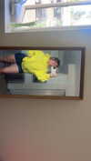 kaylamanouss17 Altpins Profile Picture