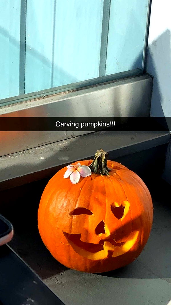 kaylamanouss17 snapchat image archive image
