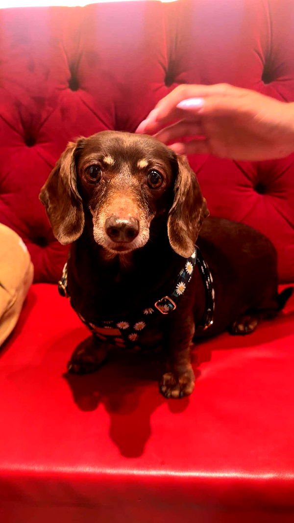 kaylamanouss17 image ~ Altpins