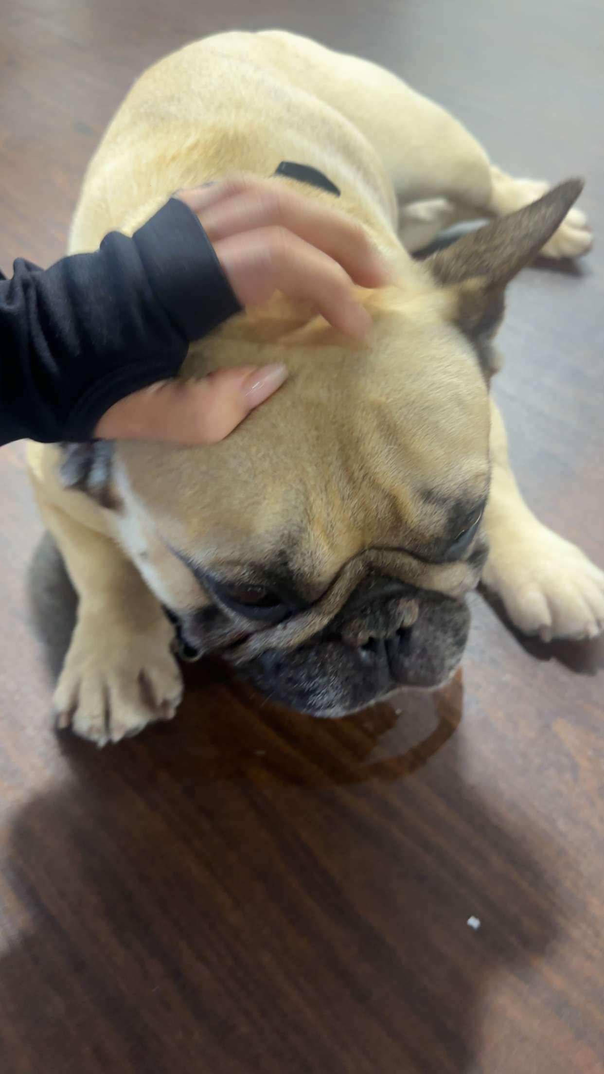 kaylamanouss17 snapchat image archive image