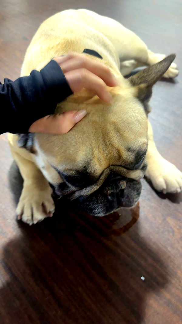 kaylamanouss17 image ~ Altpins