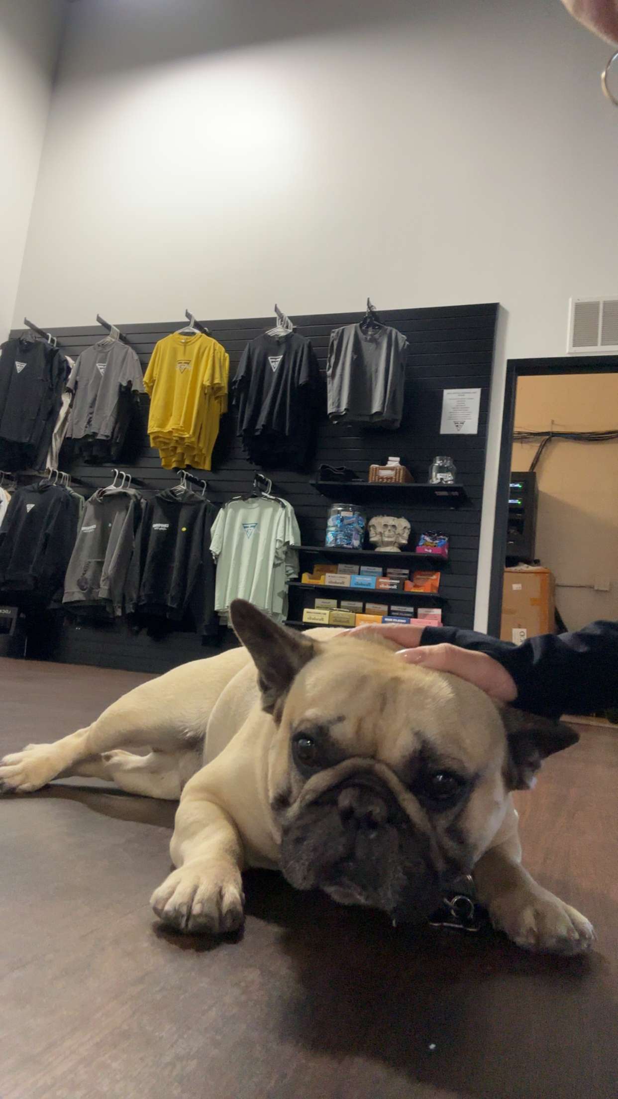 kaylamanouss17 snapchat image archive image