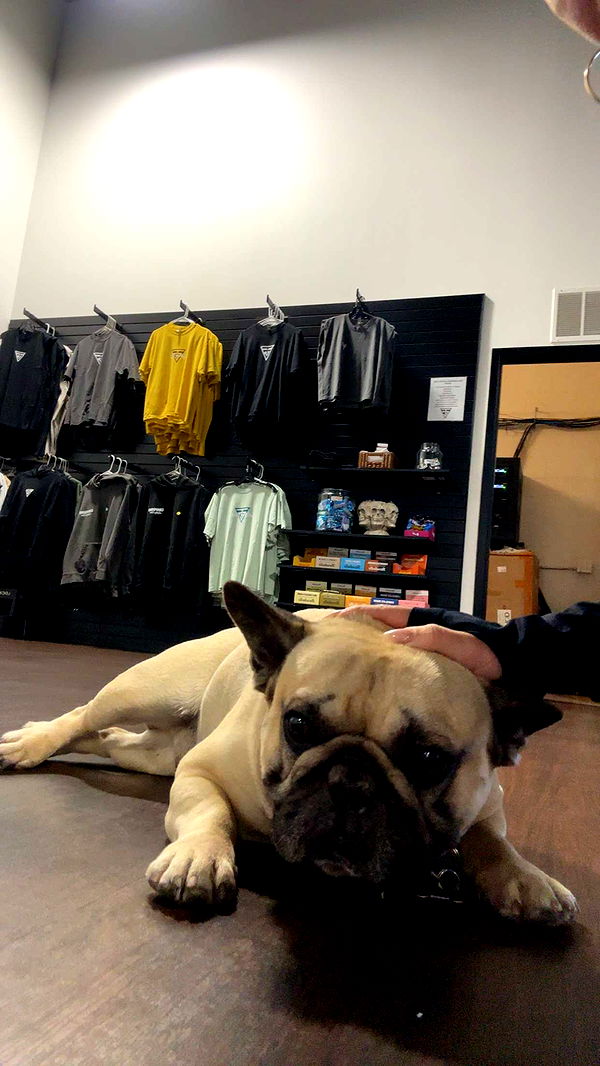 kaylamanouss17 image ~ Altpins