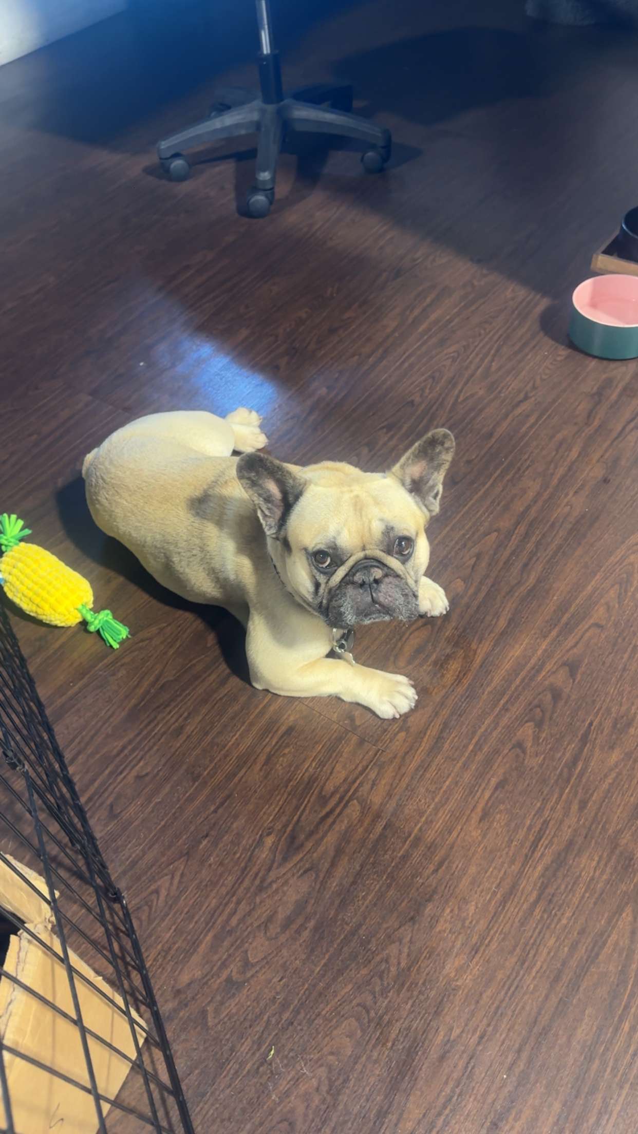 kaylamanouss17 snapchat image archive image