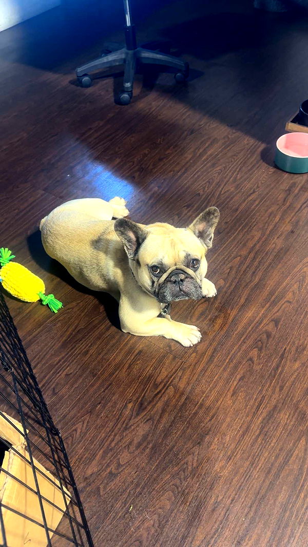 kaylamanouss17 image ~ Altpins