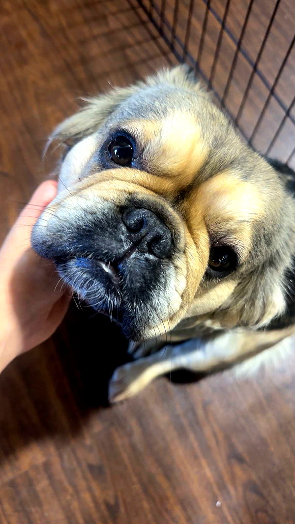 kaylamanouss17 image ~ Altpins