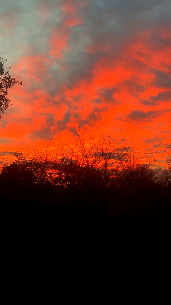 kaylamanouss17 image ~ Altpins