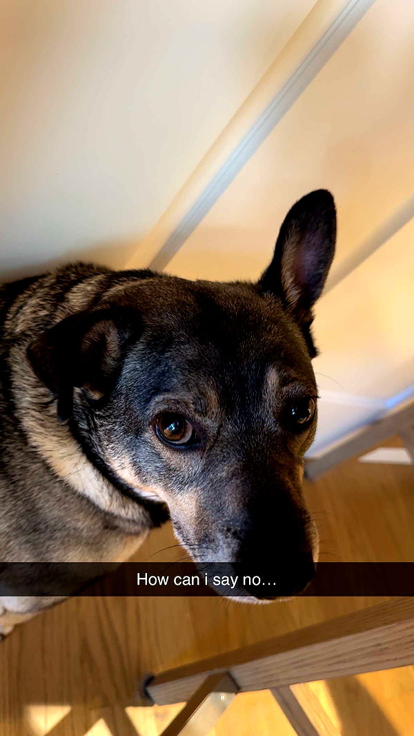 kaylamanouss17 image ~ Altpins