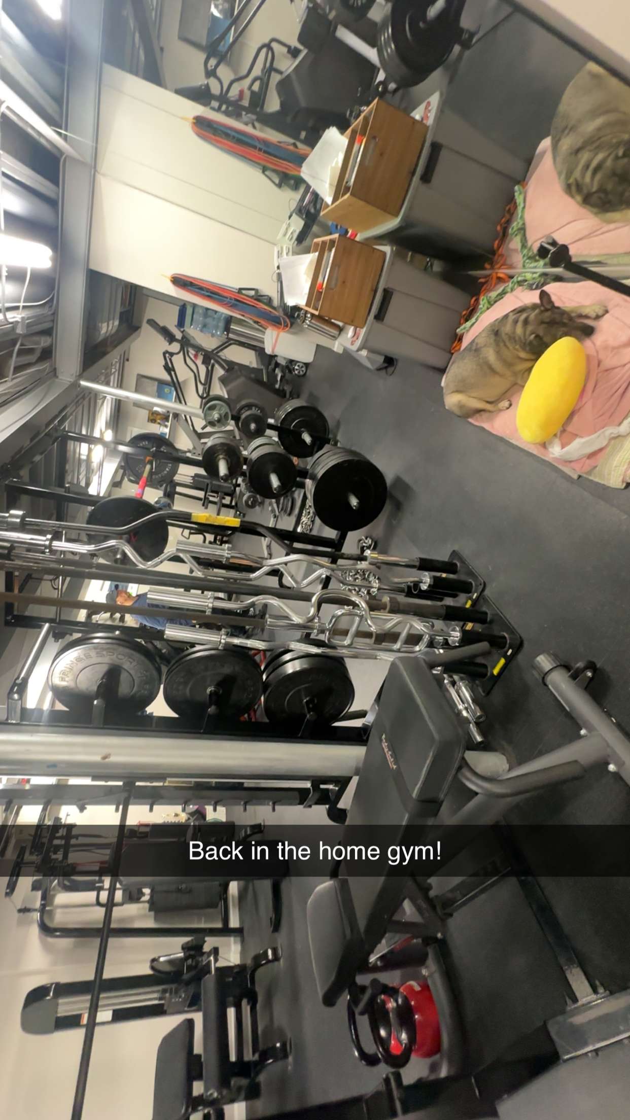 kaylamanouss17 snapchat image archive image