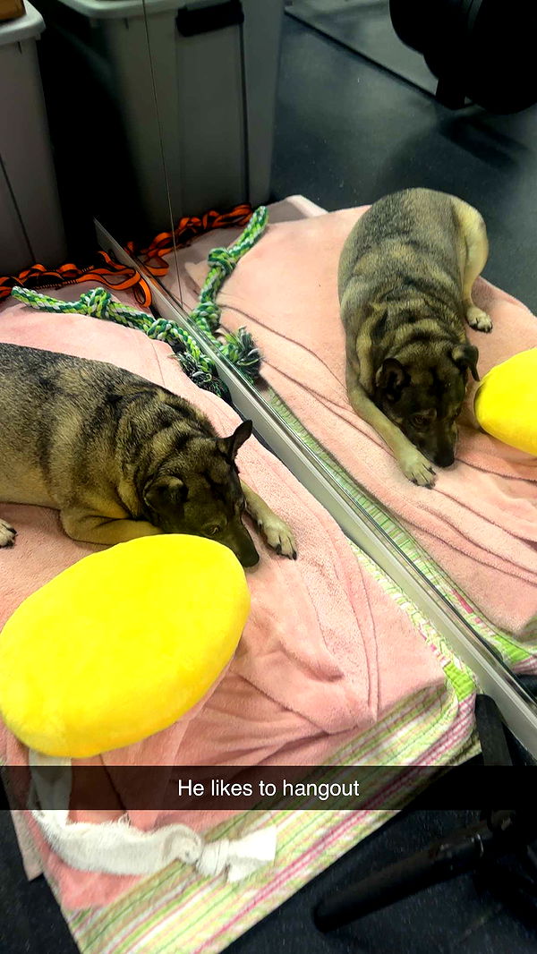 kaylamanouss17 image ~ Altpins